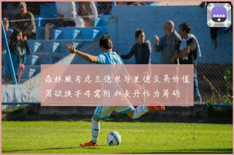 森林狼考虑兰德尔与里德交易价值若欲换字母需附加麦丹作为筹码