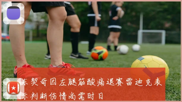 东契奇因左腿筋酸痛退赛雷迪克表示判断伤情尚需时日