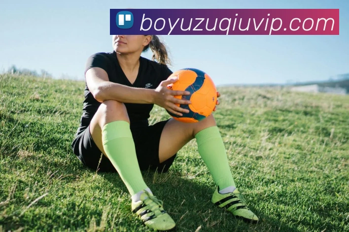 博鱼体育APP 高清赛事图