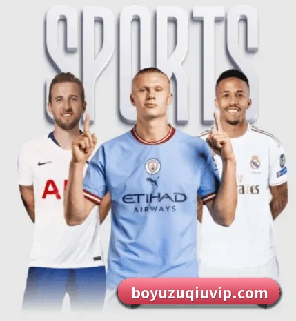 博鱼体育的方向（BOYUSPORTS）
